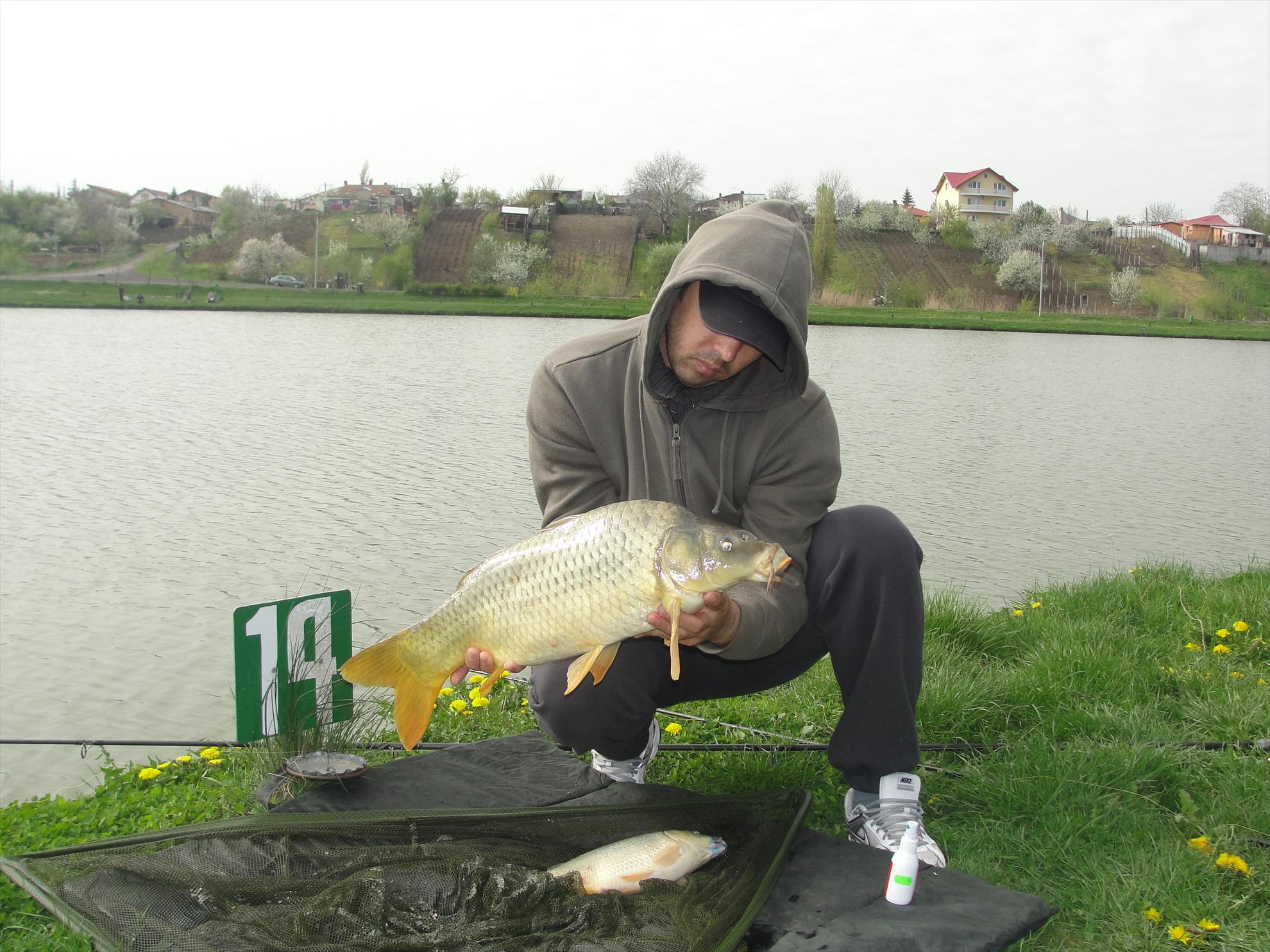 Floarea Popestiului 20 - 20 apr. - dsc09584.JPG